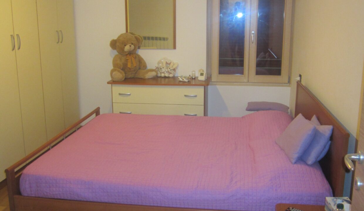 rogno 3 008