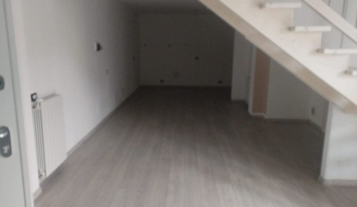 5513c35b-de4a-4291-9092-af309a0226ff