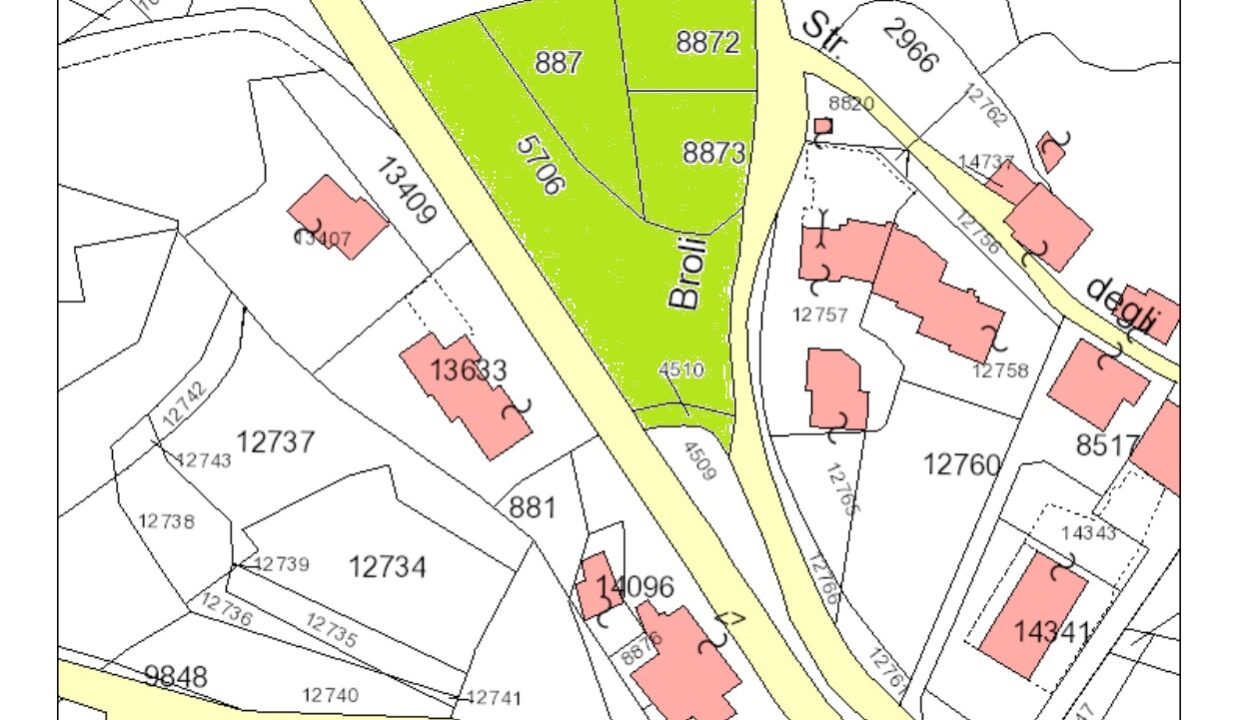 estratto mappa_page-0001